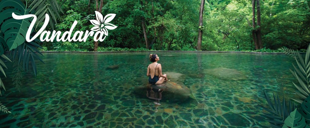 Person sitting on rock in clear green water surrounded by lush forest, with 'Vandara' text and leaf graphic.