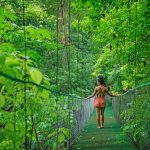 Person walking on a suspension bridge in a lush green forest.