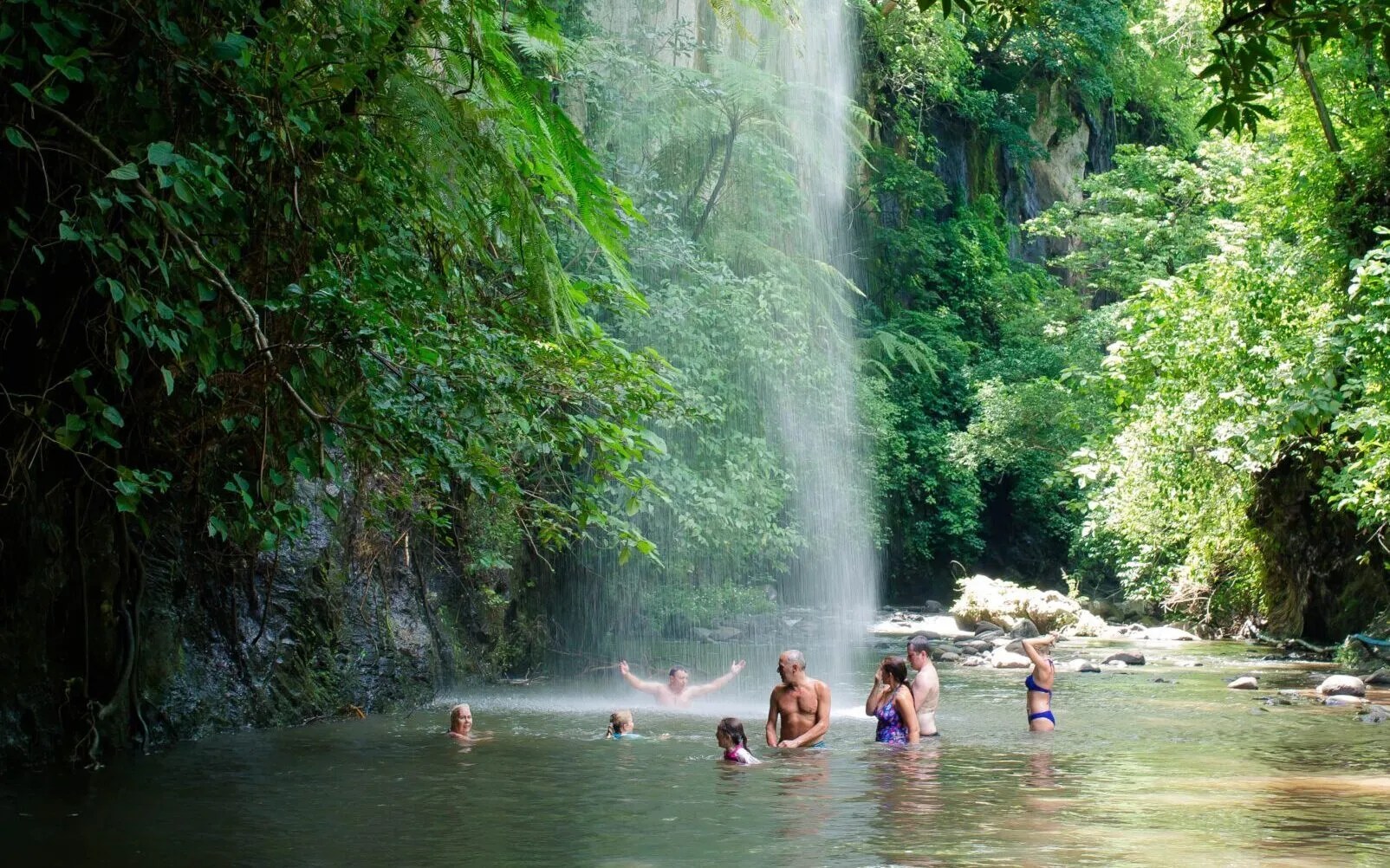 People swimming near a waterfall in a lush green forest.