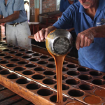 Workers pouring caramel into round molds on a wooden table.