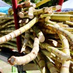 Close-up of harvested sugarcane stalks stacked on a cart outdoors.