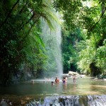 People swimming under a waterfall in a lush, green forest setting.
