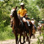 Group of people horseback riding on a forest trail.