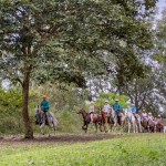 Personas montando a caballo en fila por una zona boscosa.