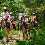 Group of people horseback riding on a forest trail.