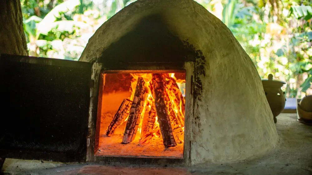 Clay oven with burning wood and flames, surrounded by greenery.