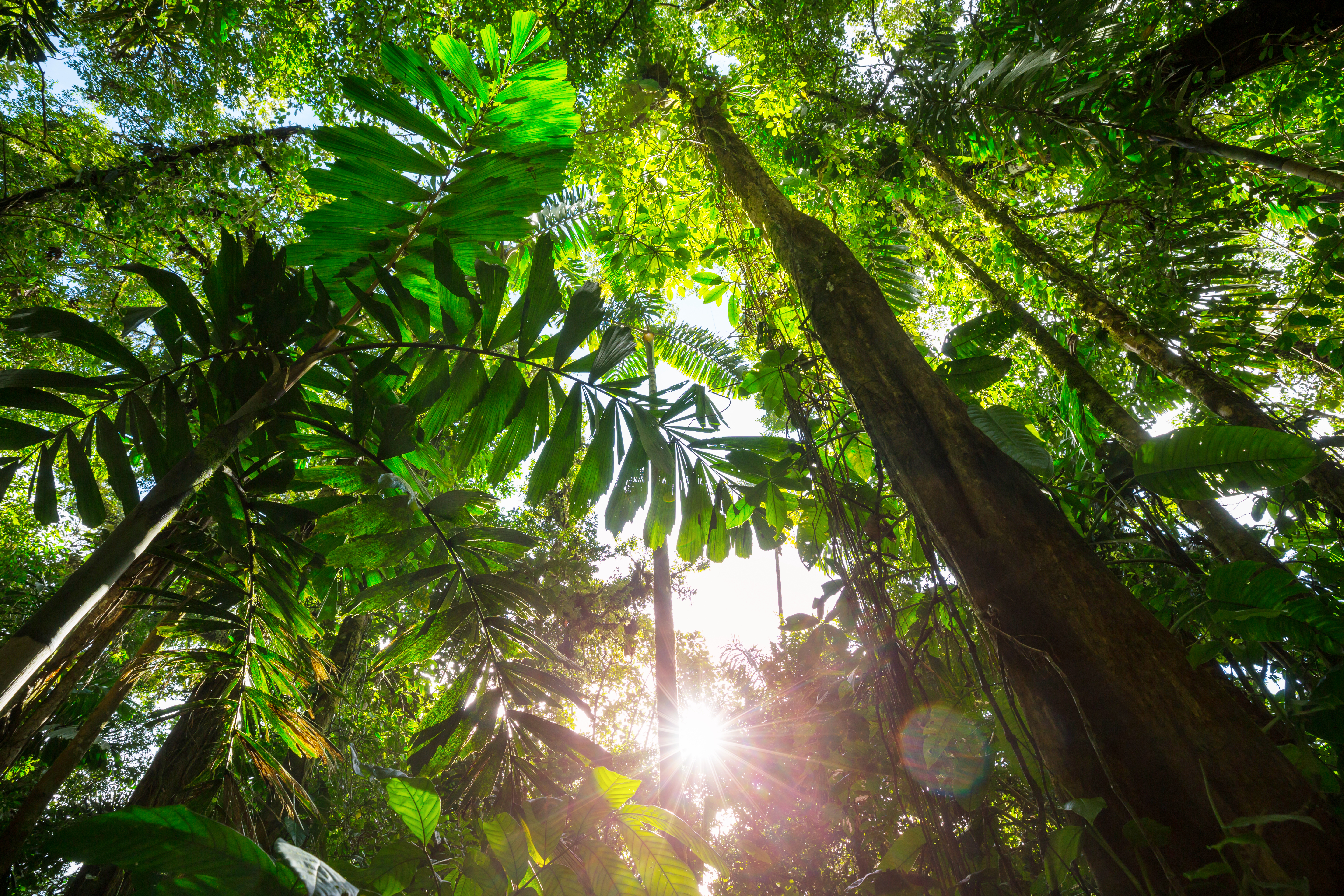 Best Time to Visit Guanacaste, Costa Rica: Seasonal Tips & Things to Do at Vandará