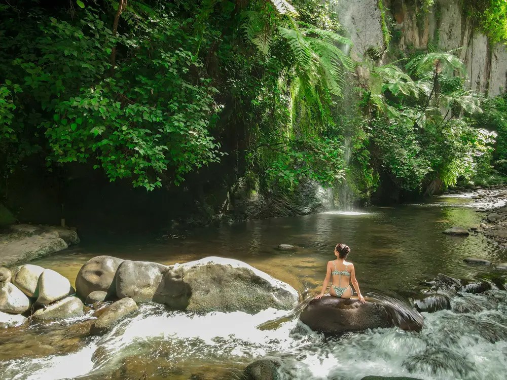 Persona sentada sobre una roca en un exuberante y verde paisaje fluvial.
