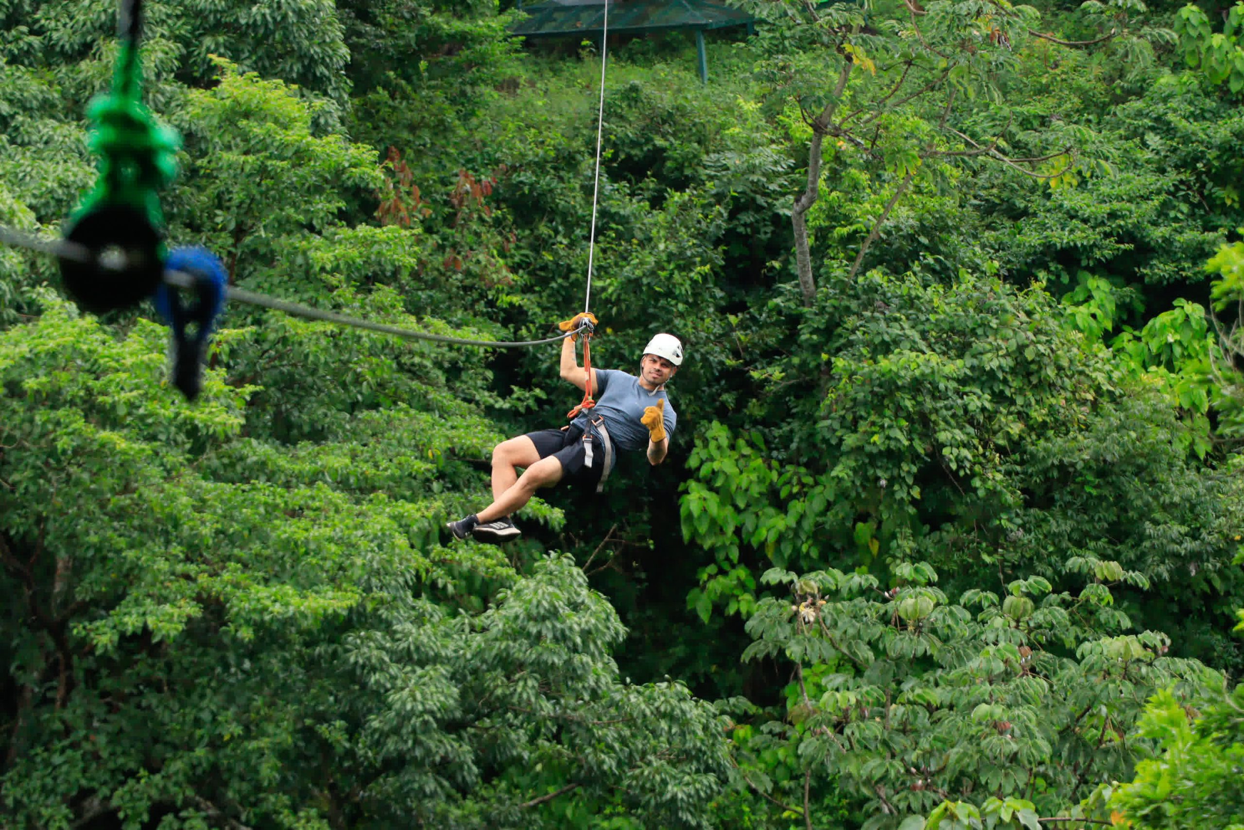 Person ziplining through a lush green forest wearing a helmet and gloves.