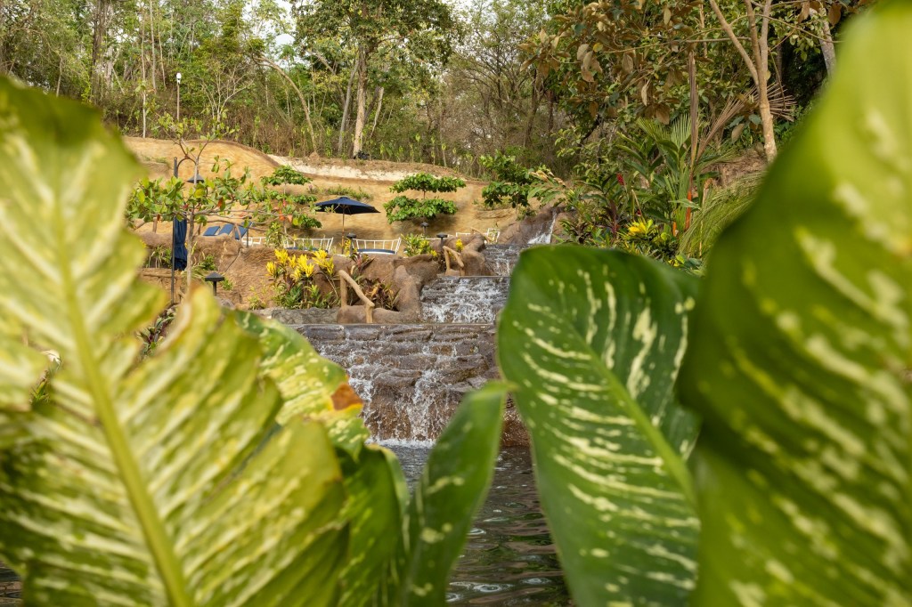 Waterfall surrounded by lush greenery and plants.