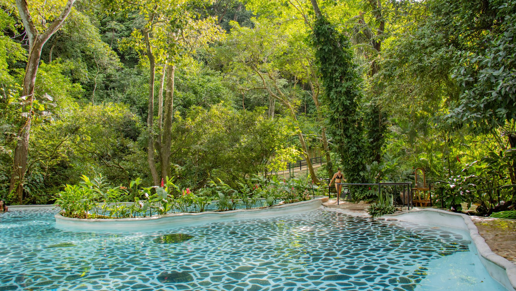Lush pool surrounded by dense green trees and foliage in a tropical setting.