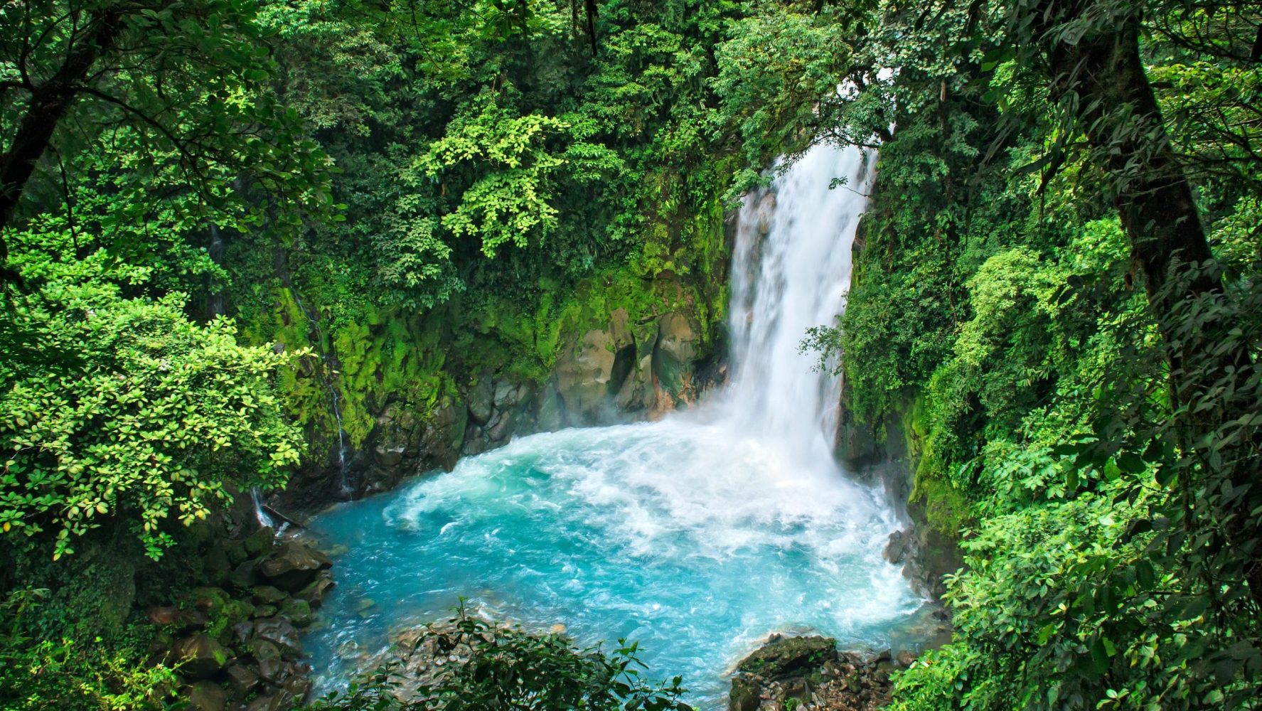 Waterfall flowing into a bright blue pool surrounded by lush green forest.