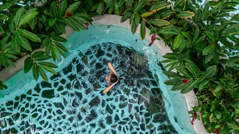Person swimming in a turquoise pool surrounded by lush green foliage.