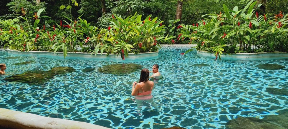 People swimming in a pool surrounded by lush tropical plants and red flowers.