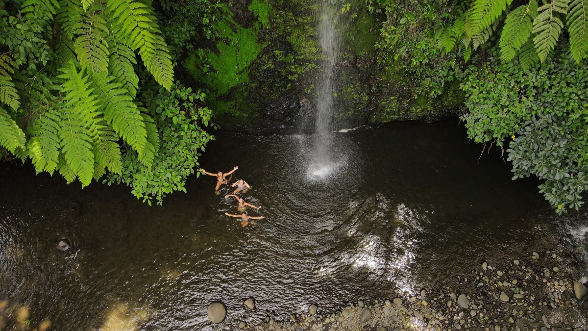 Several people swim under a waterfall surrounded by lush greenery.