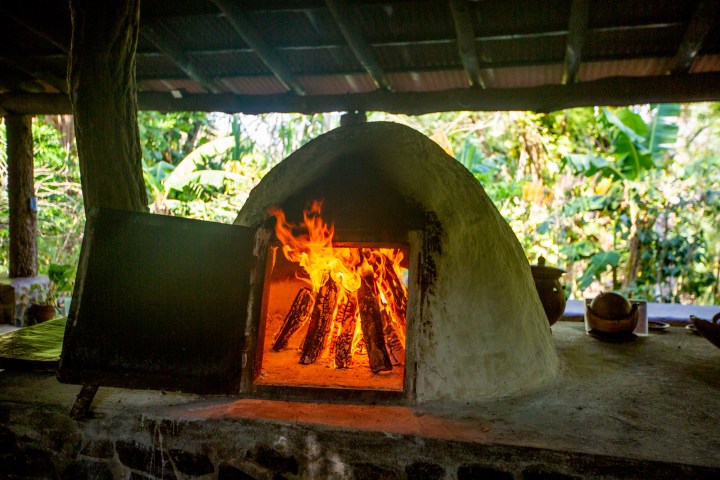 Clay oven with open door, showing burning logs inside, set in an outdoor setting surrounded by greenery.
