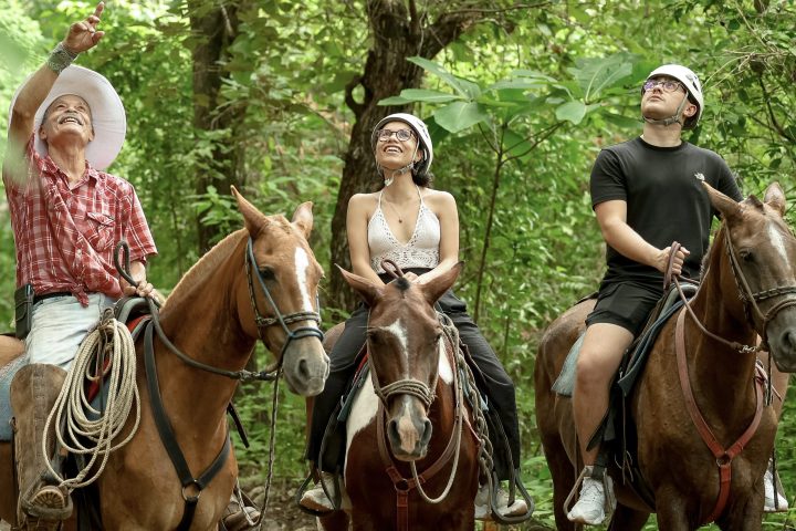 Three people on horseback in a forest, two looking up, one pointing, wearing hats and casual attire.