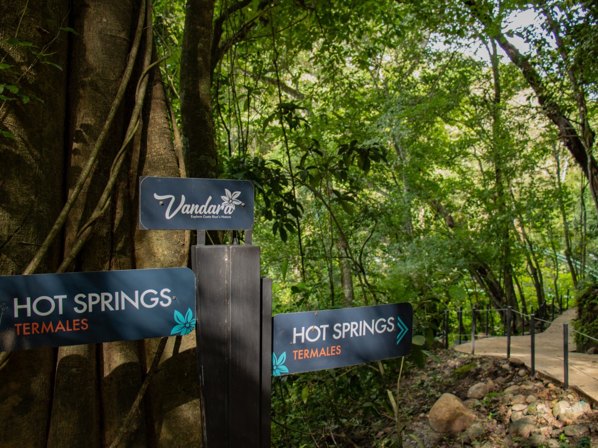 Signs for hot springs in a lush green forest with a trail path.