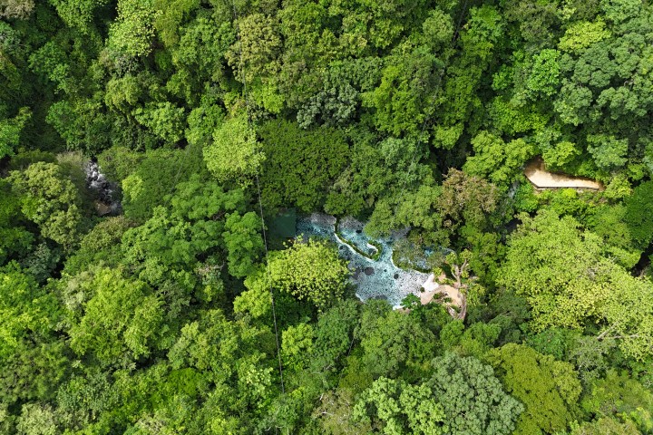 Aerial view of lush green forest with a small river winding through it.