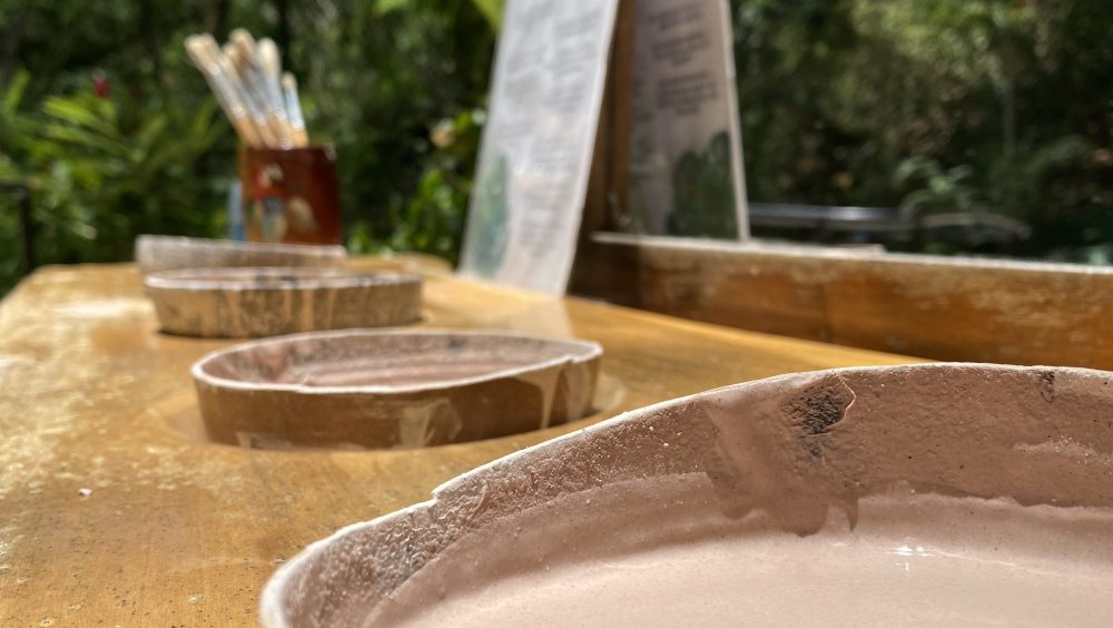 Close-up of bowls with powder on a wooden table, plants in the background.