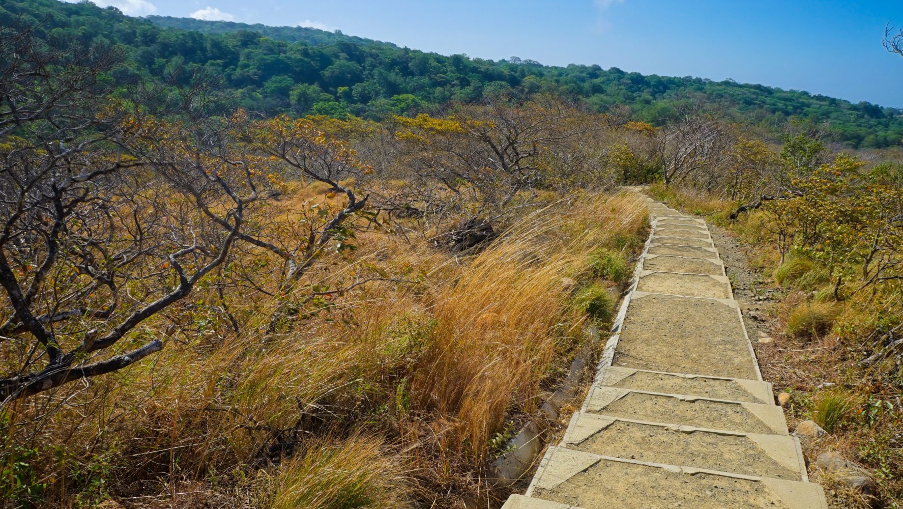 Stone pathway through dry grassland with hills and trees in the background under a clear blue sky.