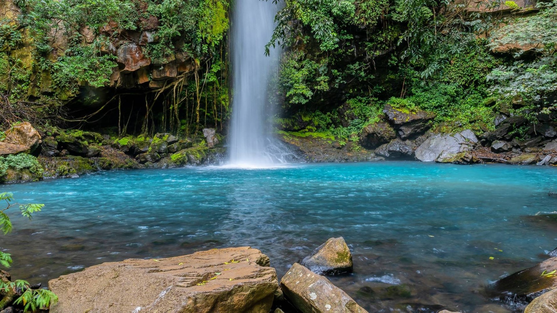 Blue pool with waterfall in lush rainforest setting.